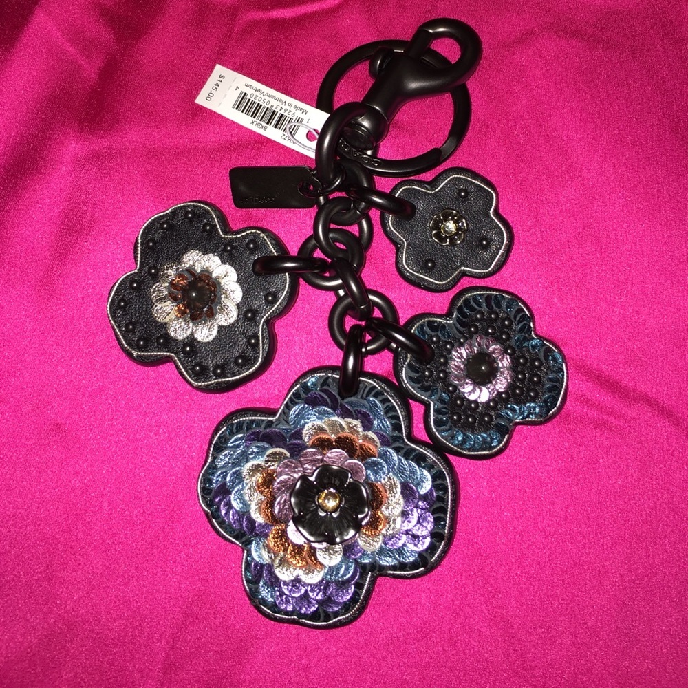 Coach keychain